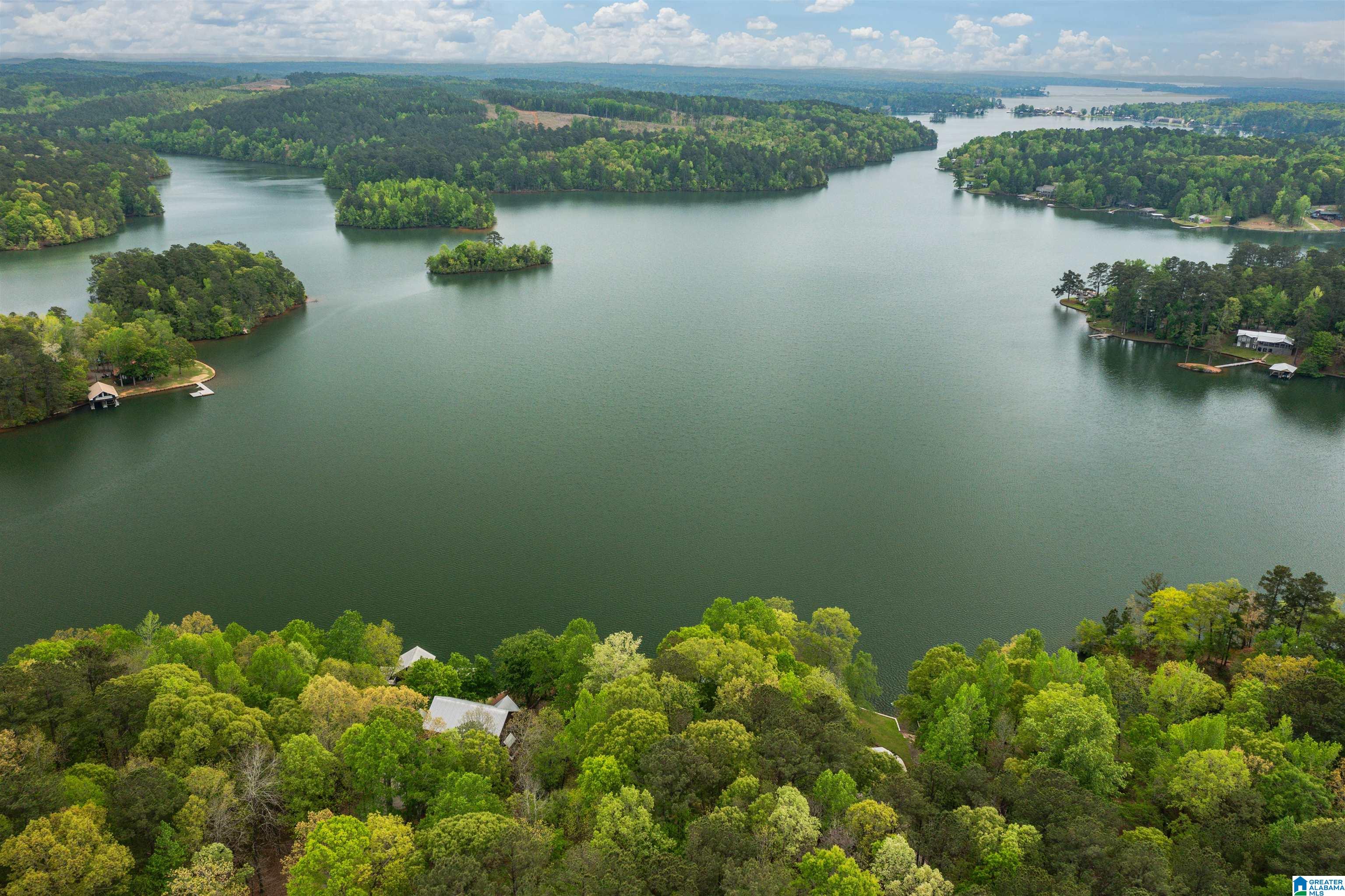 1692 Oat Road Alexander City, AL 35010 - Photo 64 of 100