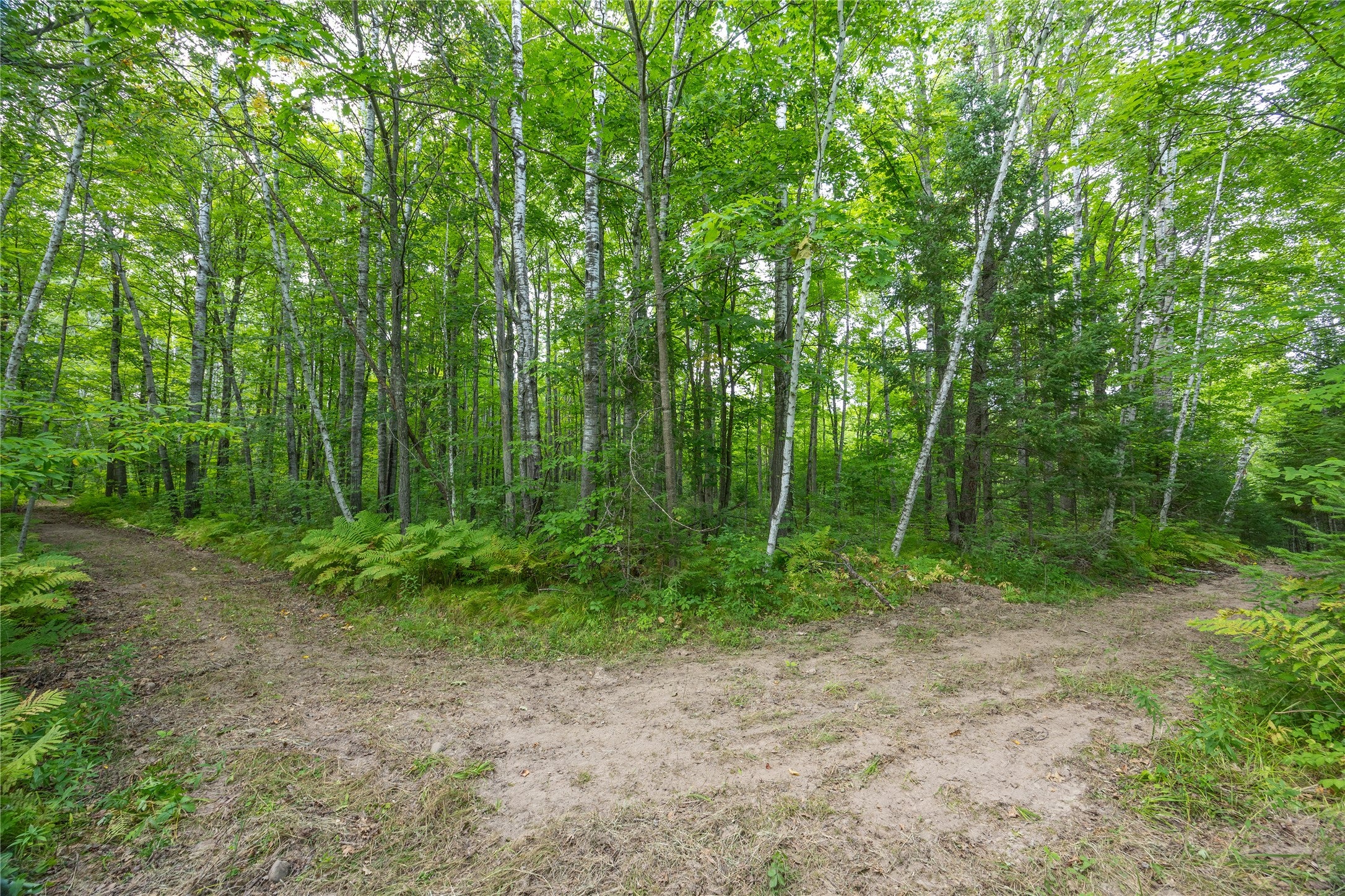 W5957 Happy Acres Road Tony, WI 54563 - Photo 16 of 24 Gallery Image 16