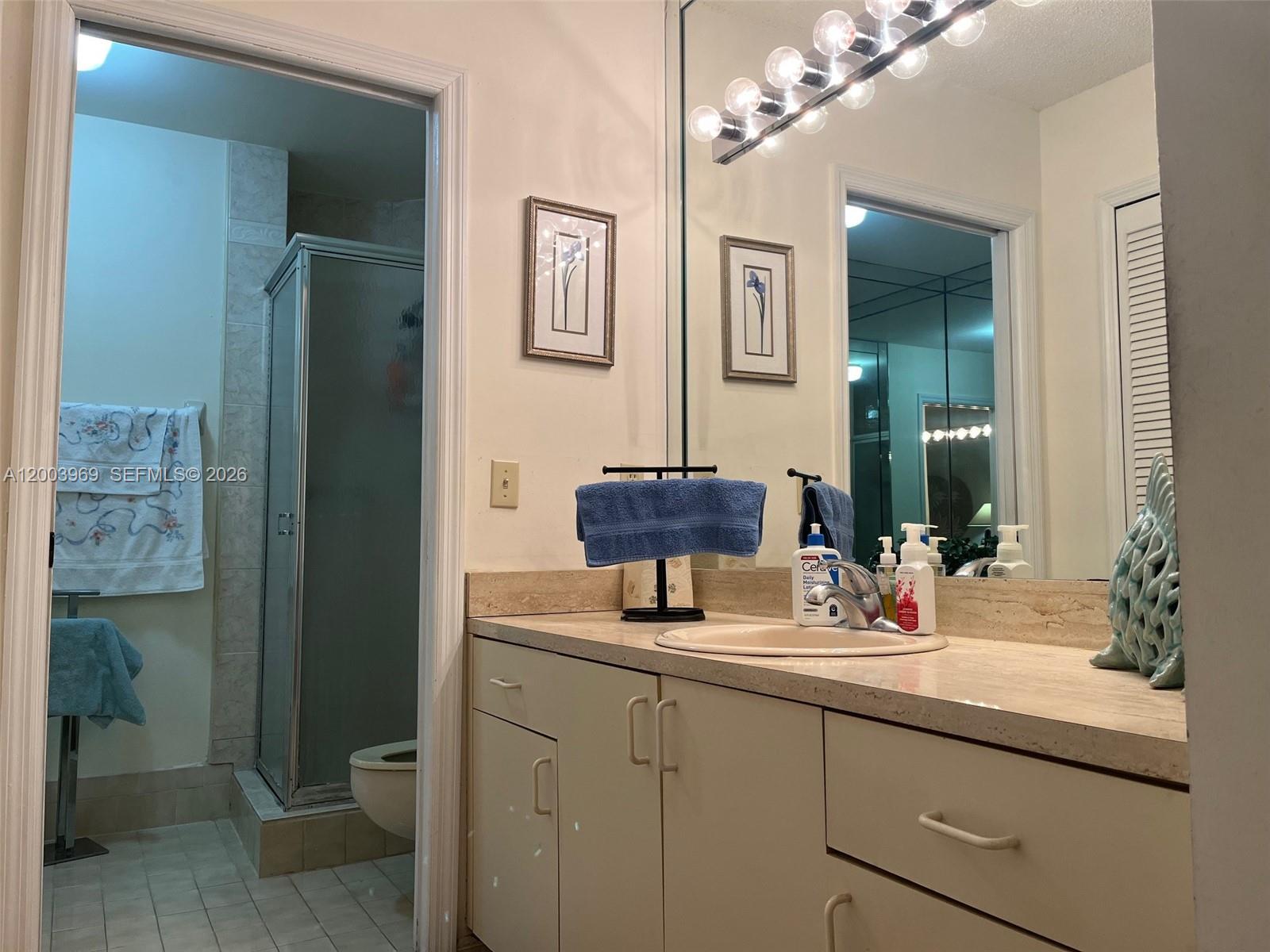 6061 Southwest 128th Court Miami, FL 33183 - Photo 13 of 16 a bathroom with a sink and a mirror