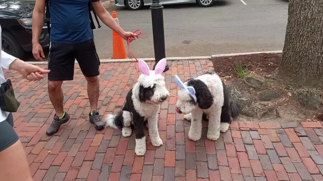 $235,000 | 9150 Southwest 49th Place, Unit C, Gainesville, FL 32608