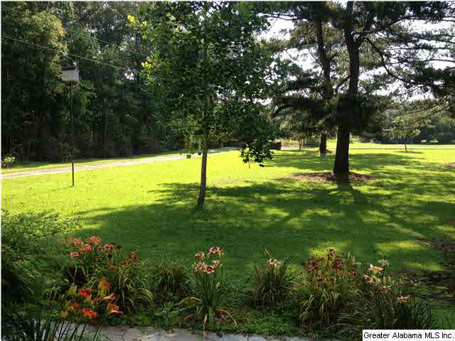 1303 Oakley Station Road Randolph, AL 36792 - Photo 2 of 27