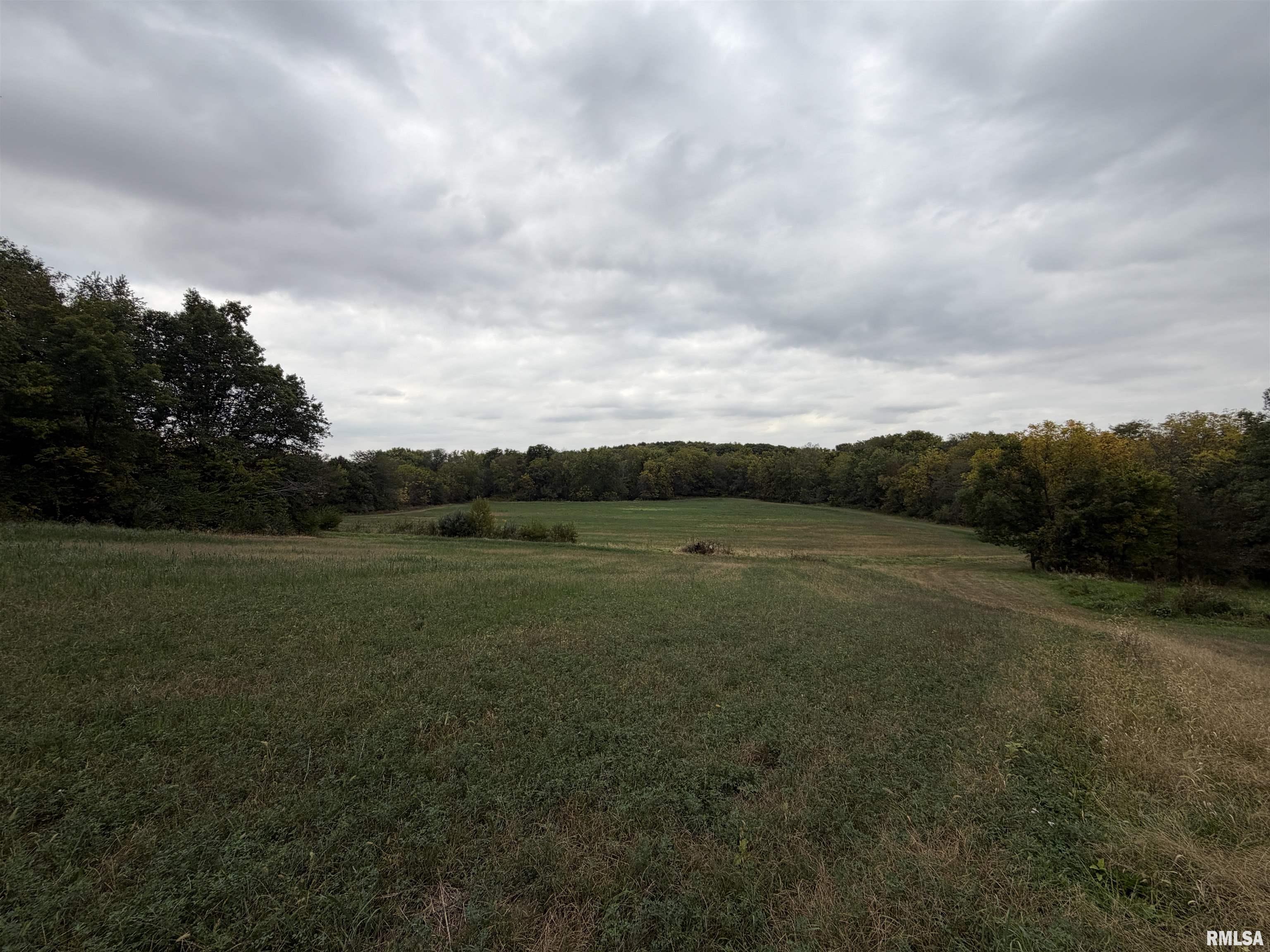 1196 160 Street Abingdon, IL 61410 - Photo 41 of 99