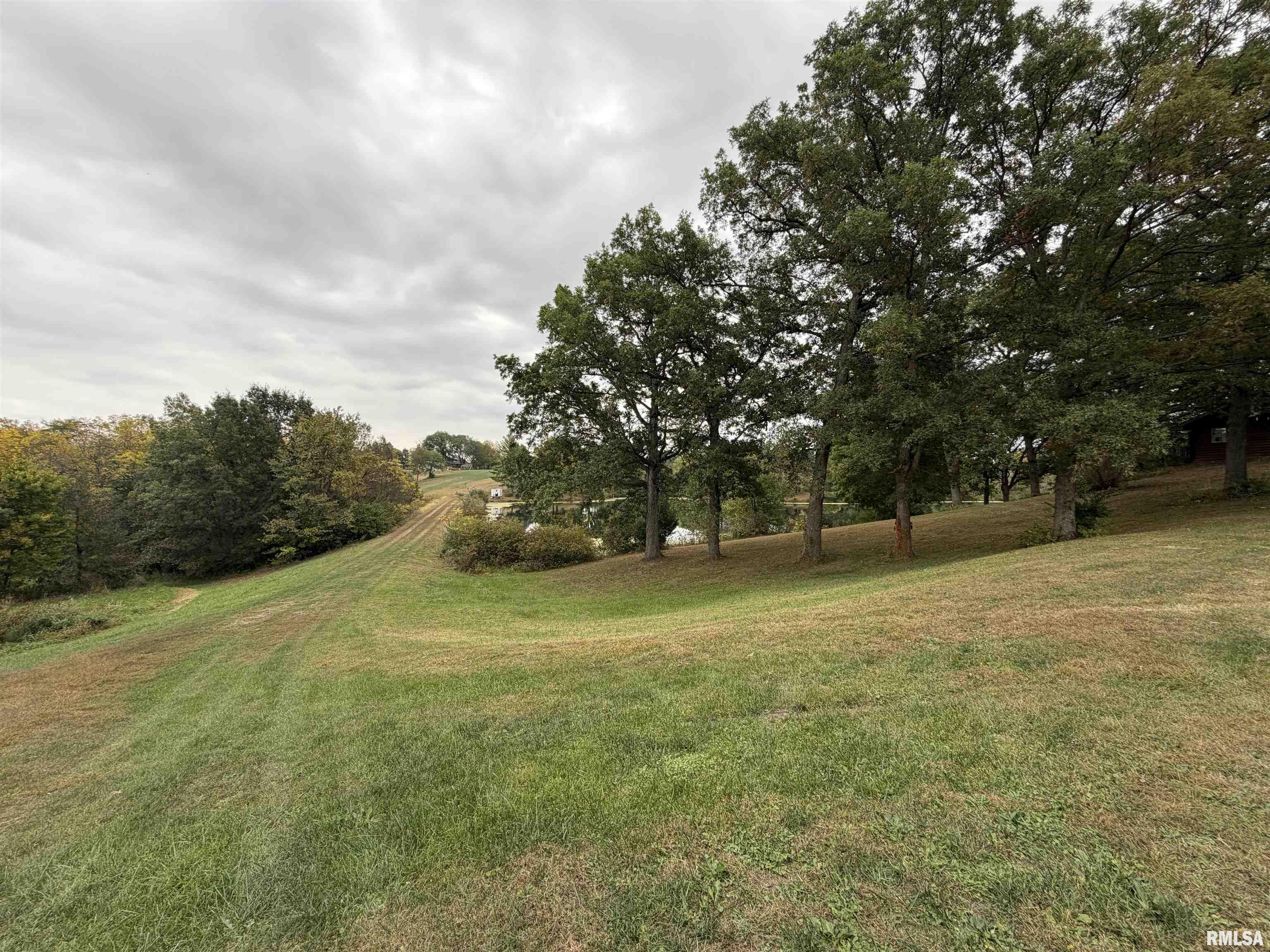 1196 160 Street Abingdon, IL 61410 - Photo 43 of 99