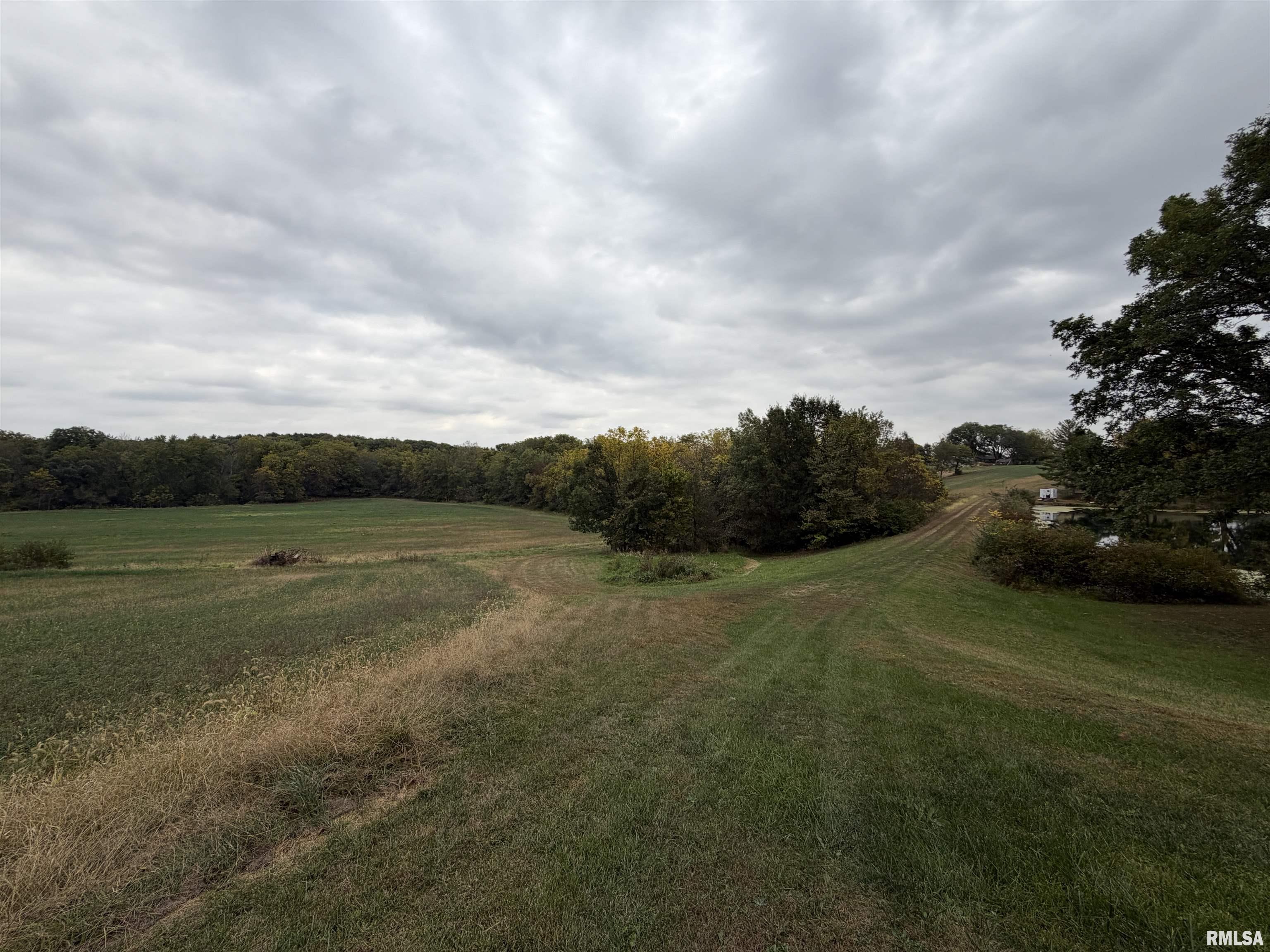 1196 160 Street Abingdon, IL 61410 - Photo 44 of 99