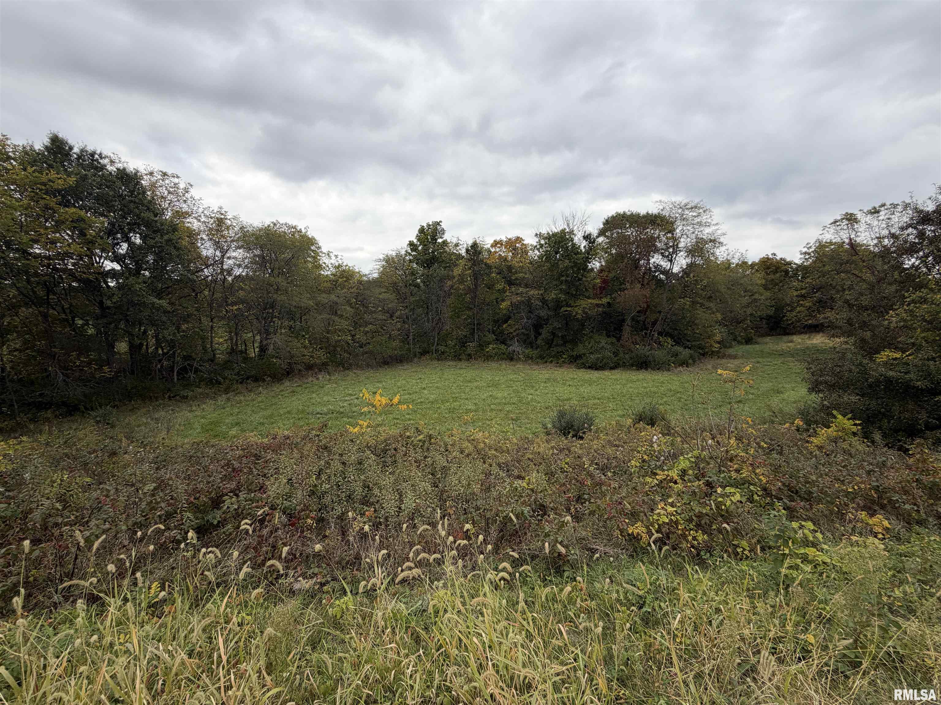 1196 160 Street Abingdon, IL 61410 - Photo 46 of 99