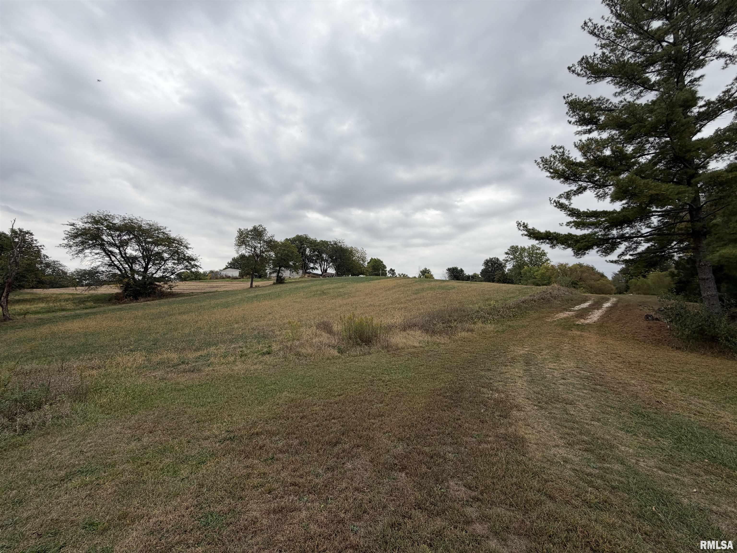 1196 160 Street Abingdon, IL 61410 - Photo 47 of 99