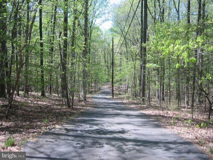 6542 Little Ox Road Fairfax Station, VA 22039 - Photo 3 of 30 a view of a forest filled with trees