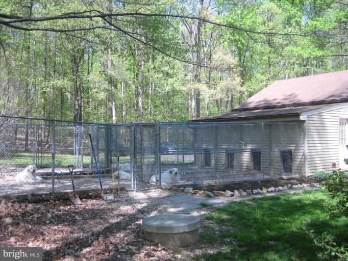 6542 Little Ox Road Fairfax Station, VA 22039 - Photo 23 of 30 a view of a backyard with a plants and large trees
