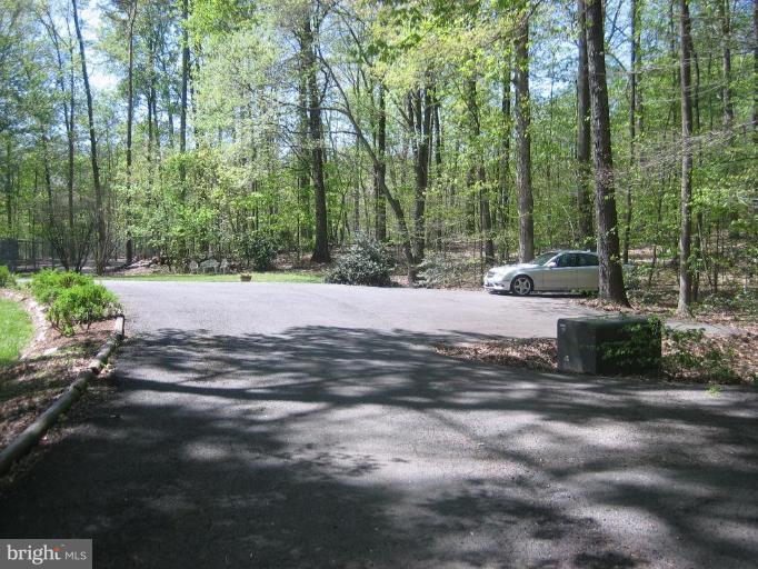 6542 Little Ox Road Fairfax Station, VA 22039 - Photo 28 of 30 a view of a tree with a yard