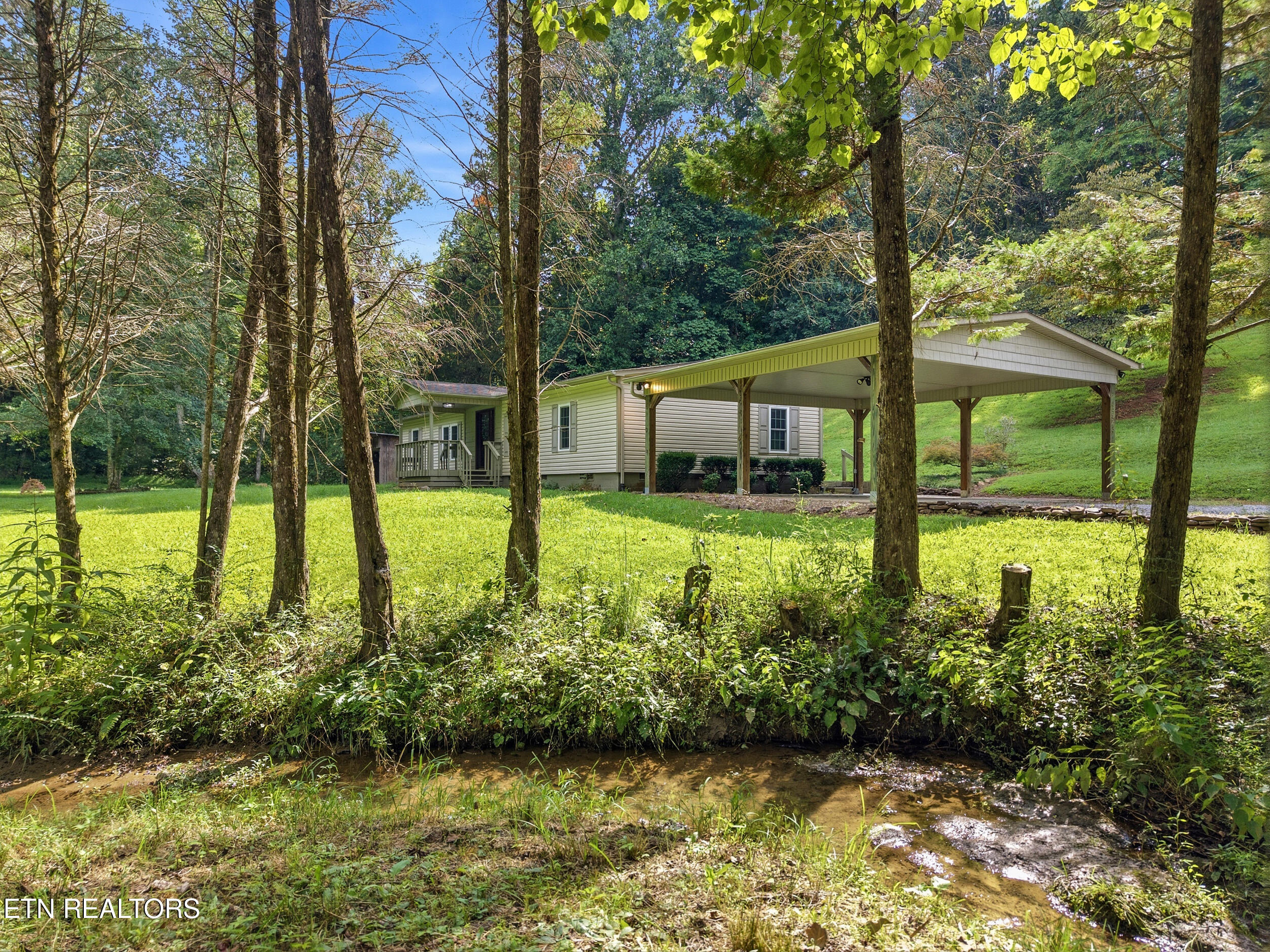 3923 Freels Road Friendsville, TN 37737 - Photo 5 of 43 creek