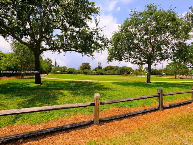 a view of a park with large trees