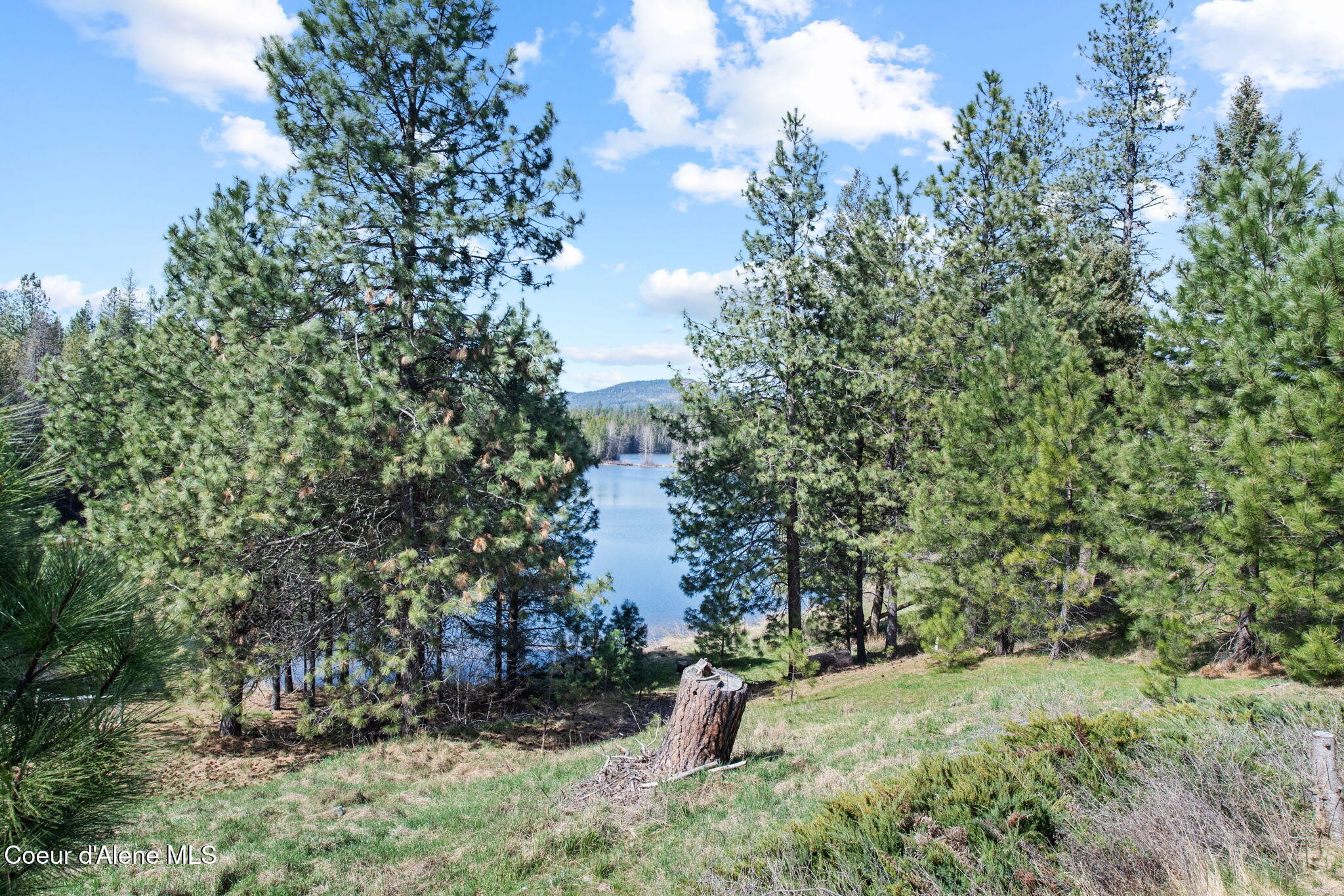 720 Stoneridge Road Blanchard, ID 83804 - Photo 29 of 67 35-web-or-mls-720 Stoneridge Rd-155