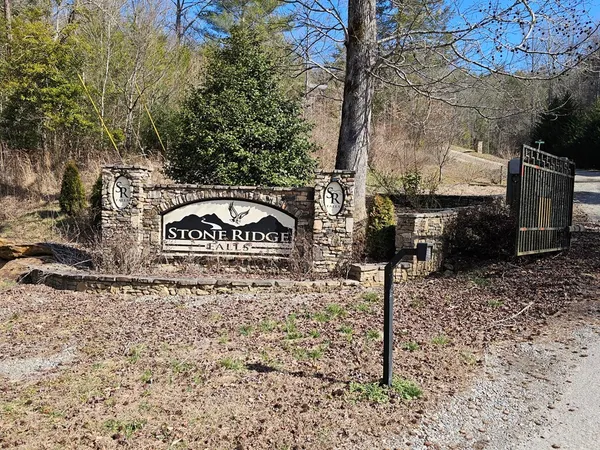 a view of a park bench under a large tree