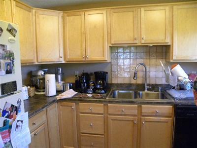 10038 Sycamore Beach Drive Three Rivers, MI 49093 - Photo 17 of 24 Additional Photo