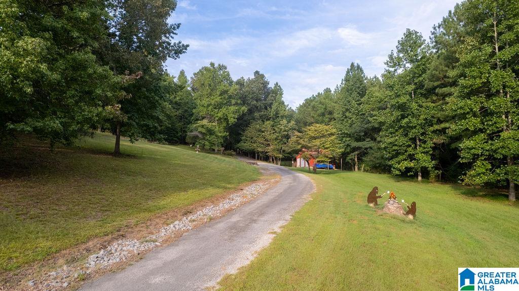 56230 North Highway 231 Oneonta, AL 35121 - Photo 59 of 62
