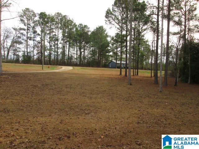 3290 Country Club Road Roanoke, AL 36274 - Photo 27 of 27