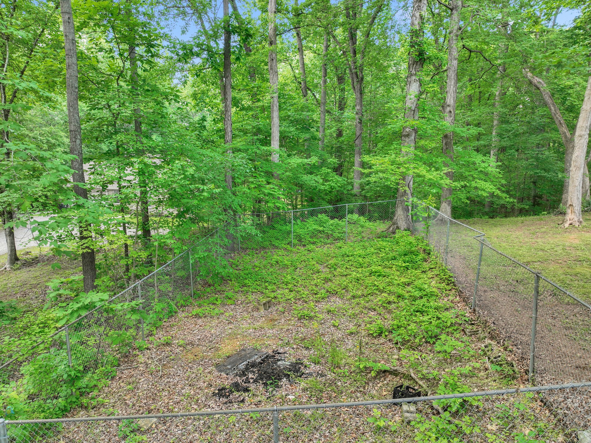 1153 Dimple Road Chapmansboro, TN 37035 - Photo 35 of 37 Gallery Image 35