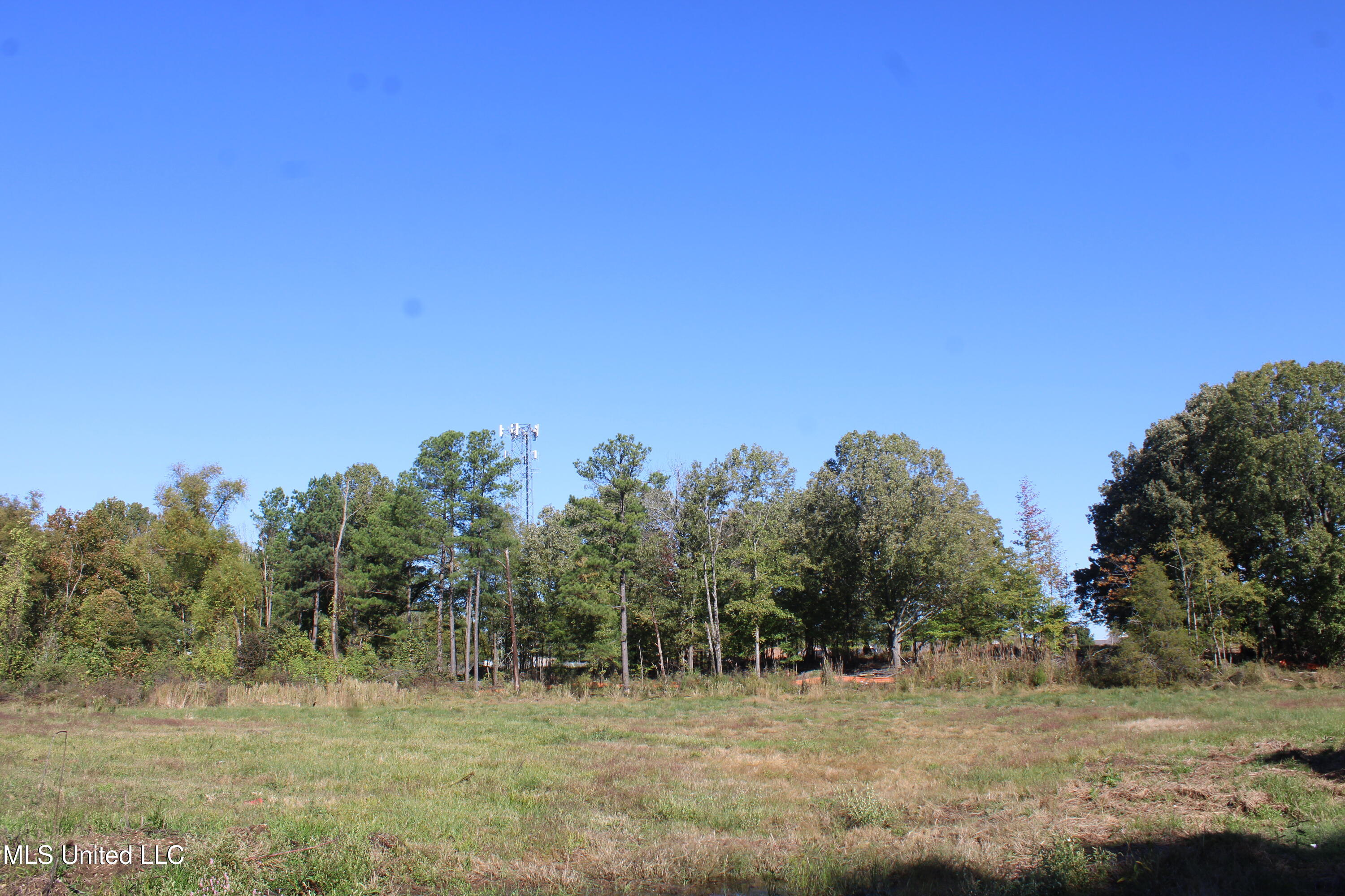 8031 Alexander Road Olive Branch, MS 38654 - Photo 11 of 17 IMG_6862