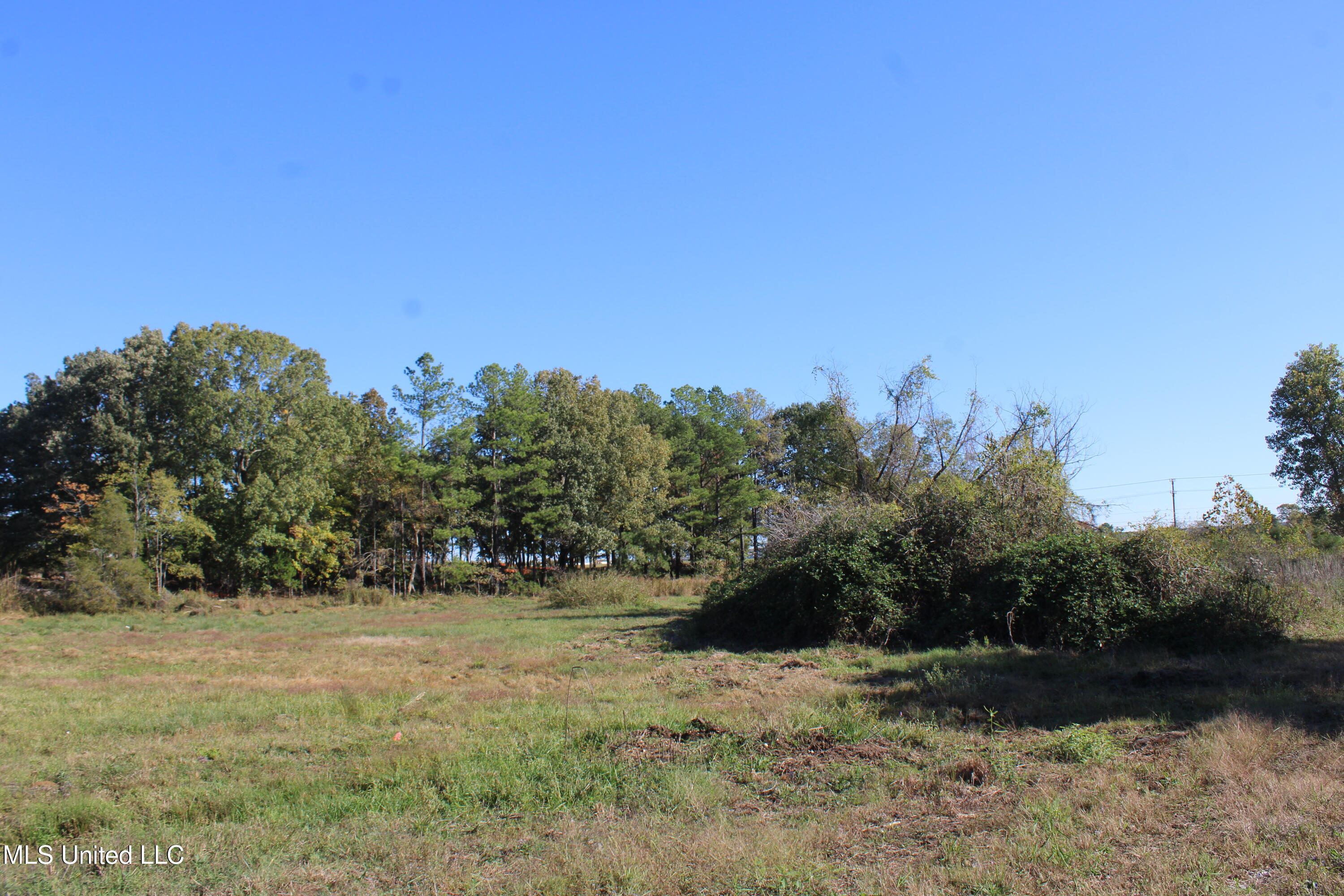 8031 Alexander Road Olive Branch, MS 38654 - Photo 12 of 17 IMG_6863