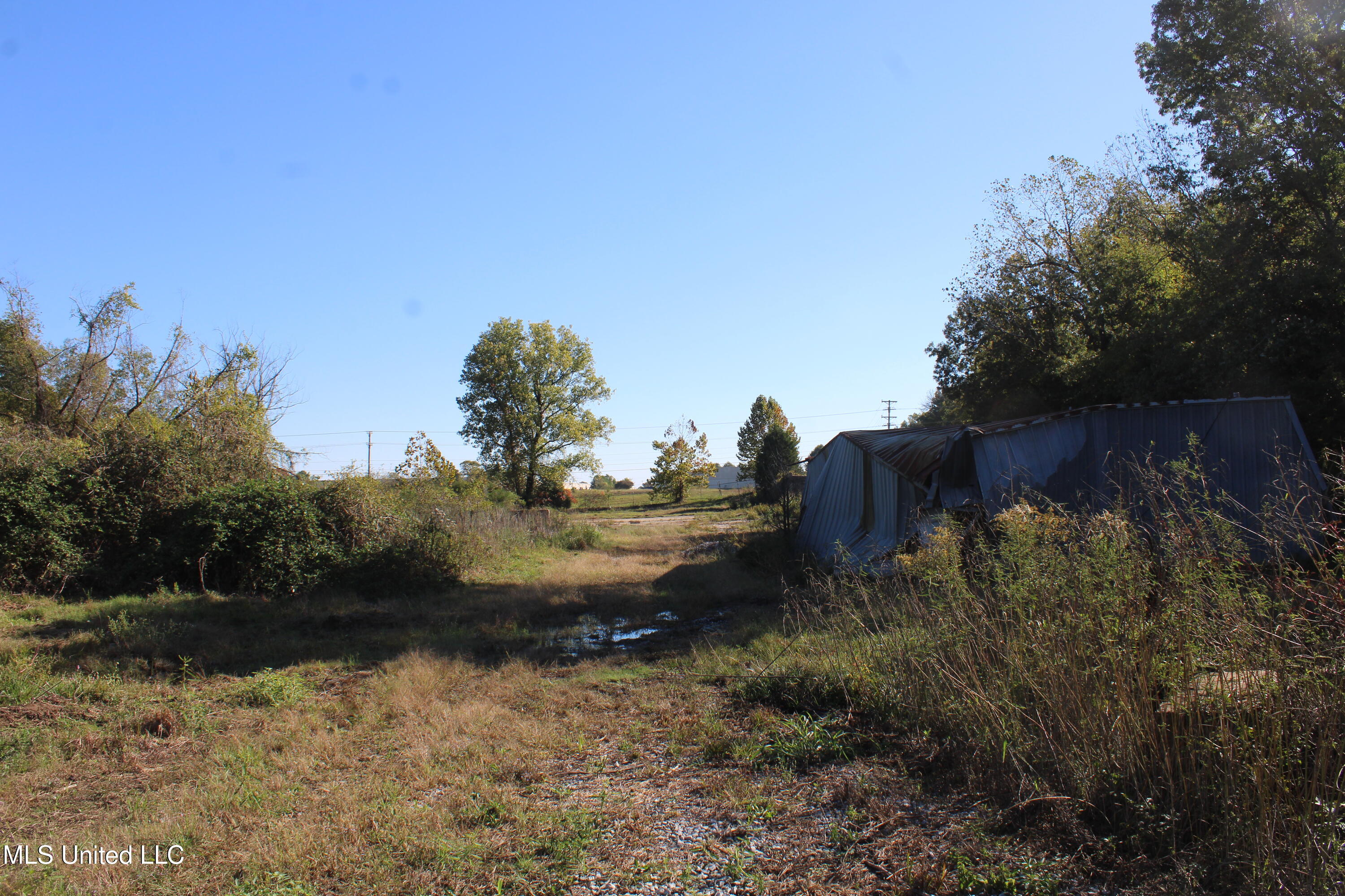 8031 Alexander Road Olive Branch, MS 38654 - Photo 13 of 17 IMG_6864