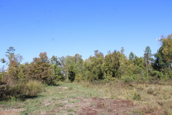 $225,000 | 8031 Alexander Road, Olive Branch, MS 38654