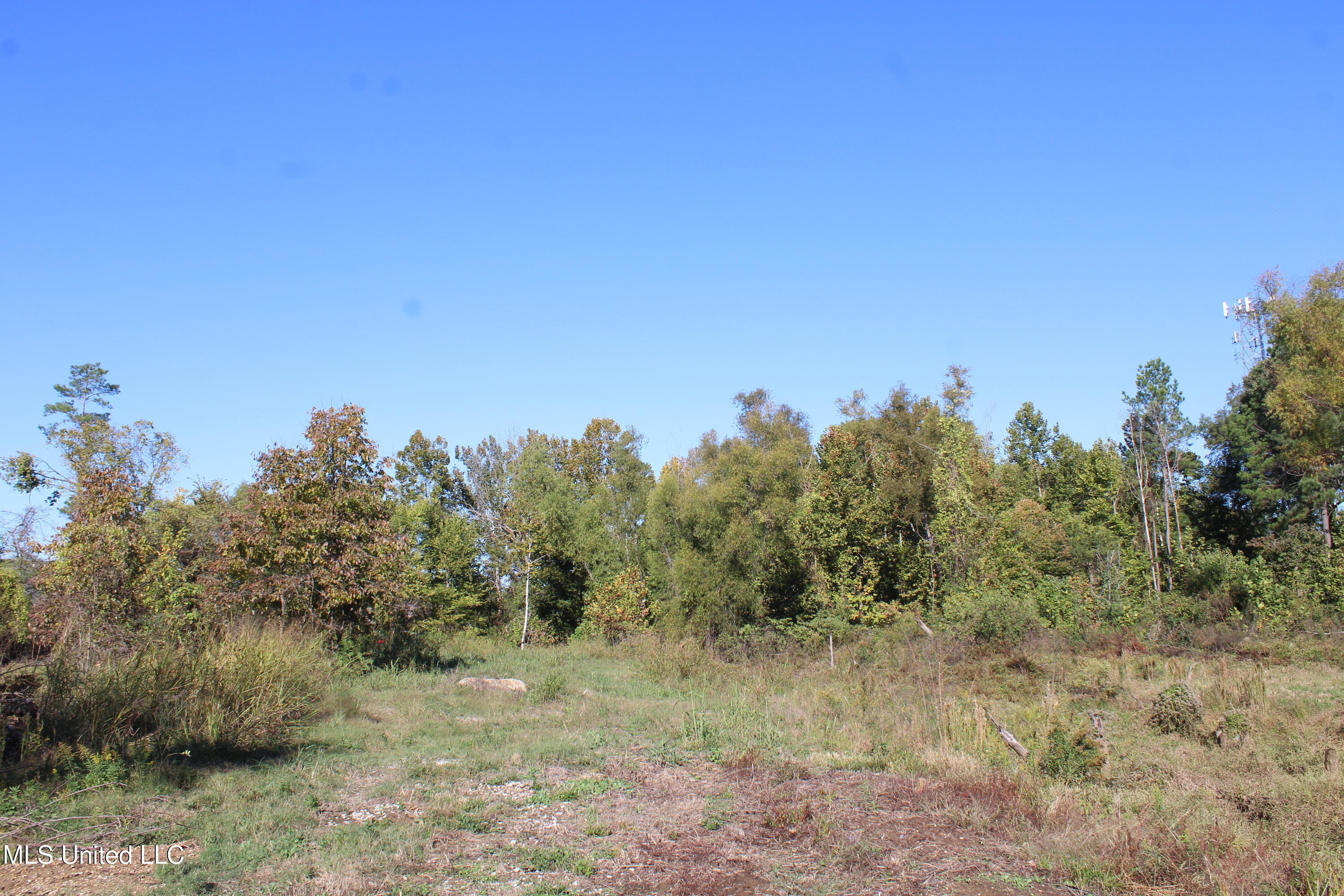 8031 Alexander Road Olive Branch, MS 38654 - Photo 14 of 17 IMG_6865