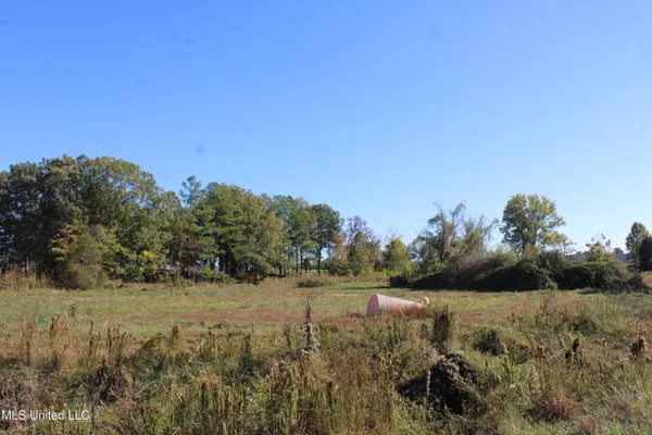 $225,000 | 8031 Alexander Road, Olive Branch, MS 38654