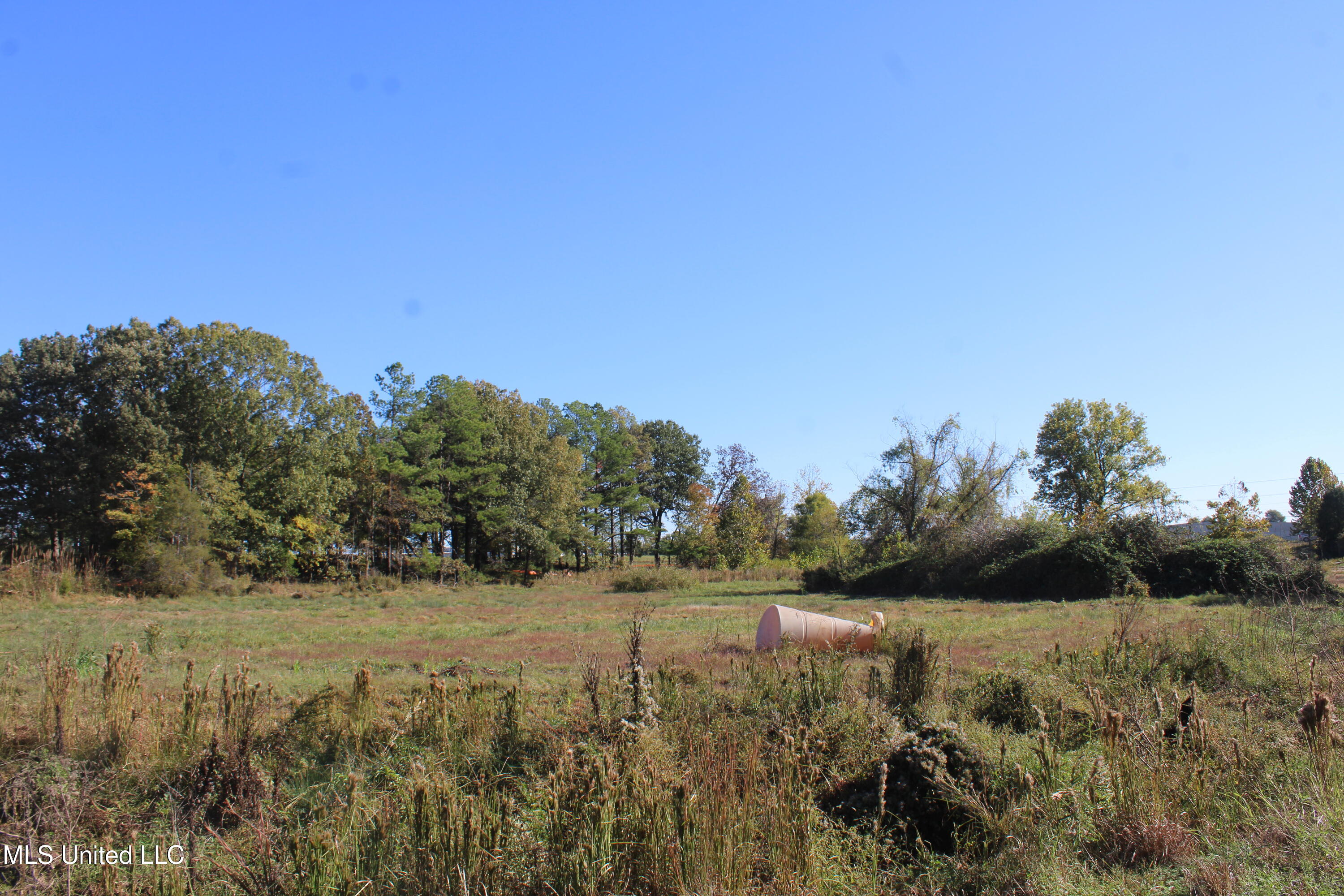 8031 Alexander Road Olive Branch, MS 38654 - Photo 15 of 17 IMG_6866