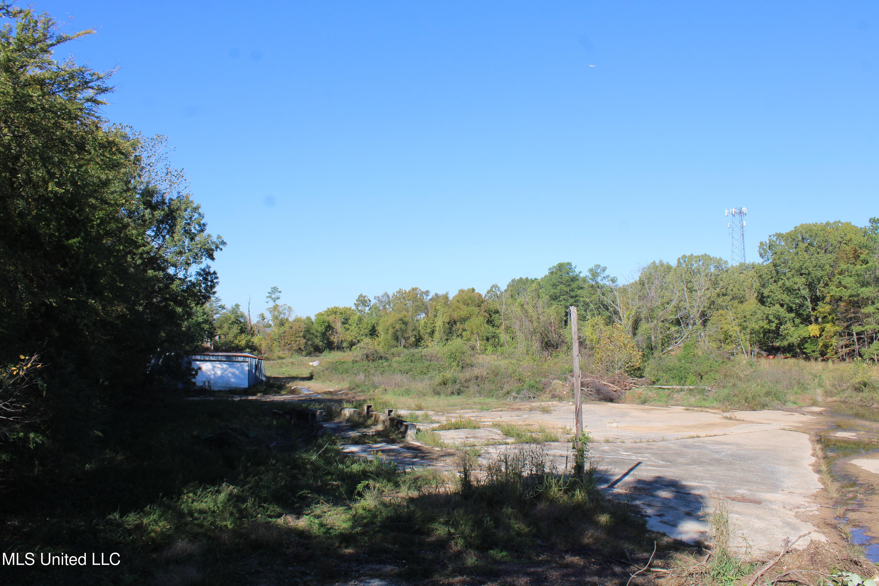 8031 Alexander Road Olive Branch, MS 38654 - Photo 5 of 17 IMG_6855