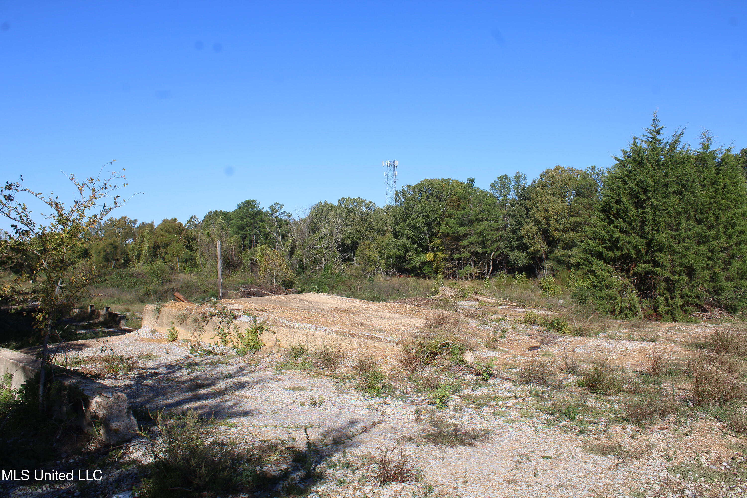 8031 Alexander Road Olive Branch, MS 38654 - Photo 6 of 17 IMG_6856