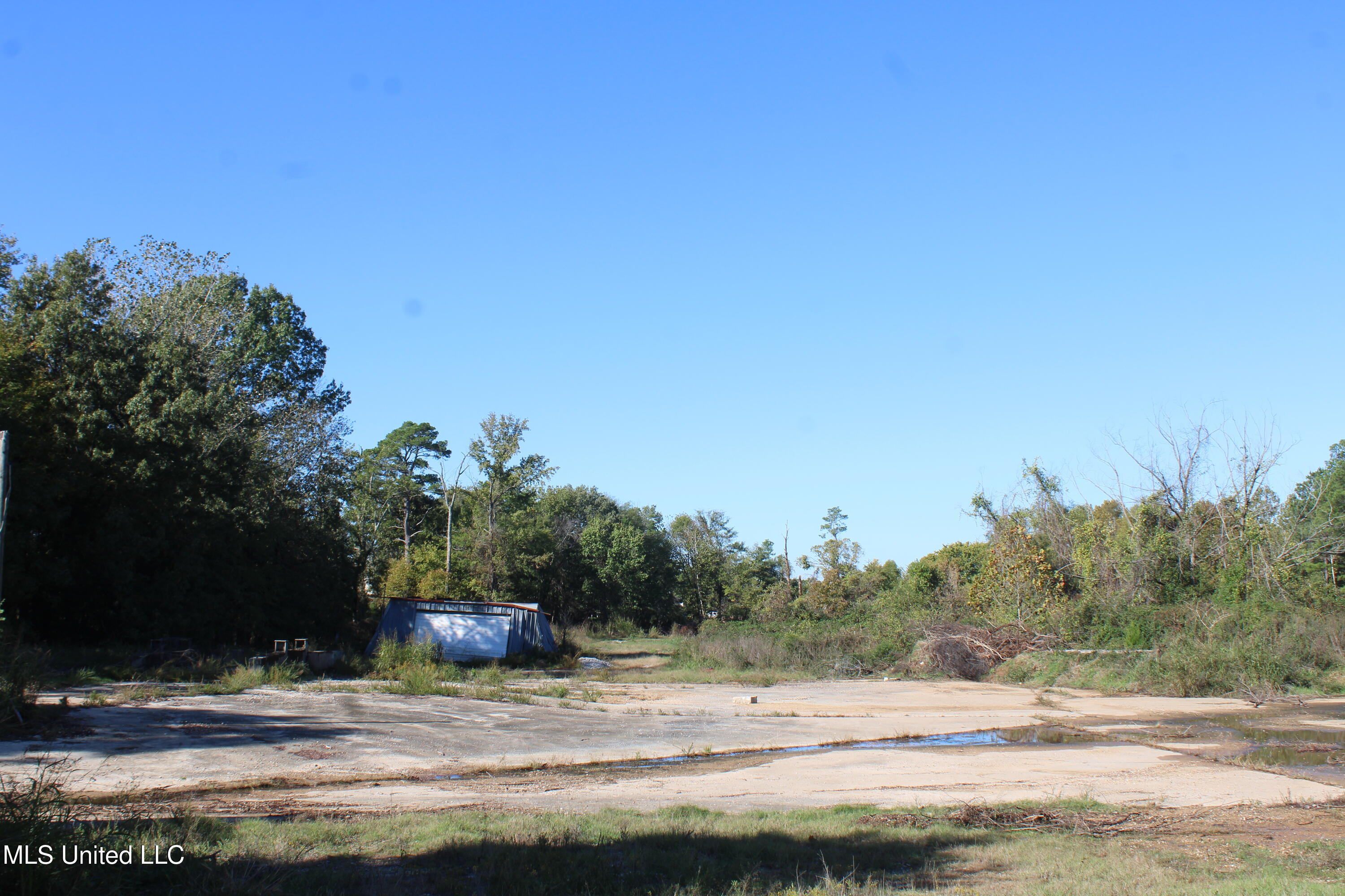 8031 Alexander Road Olive Branch, MS 38654 - Photo 7 of 17 IMG_6857