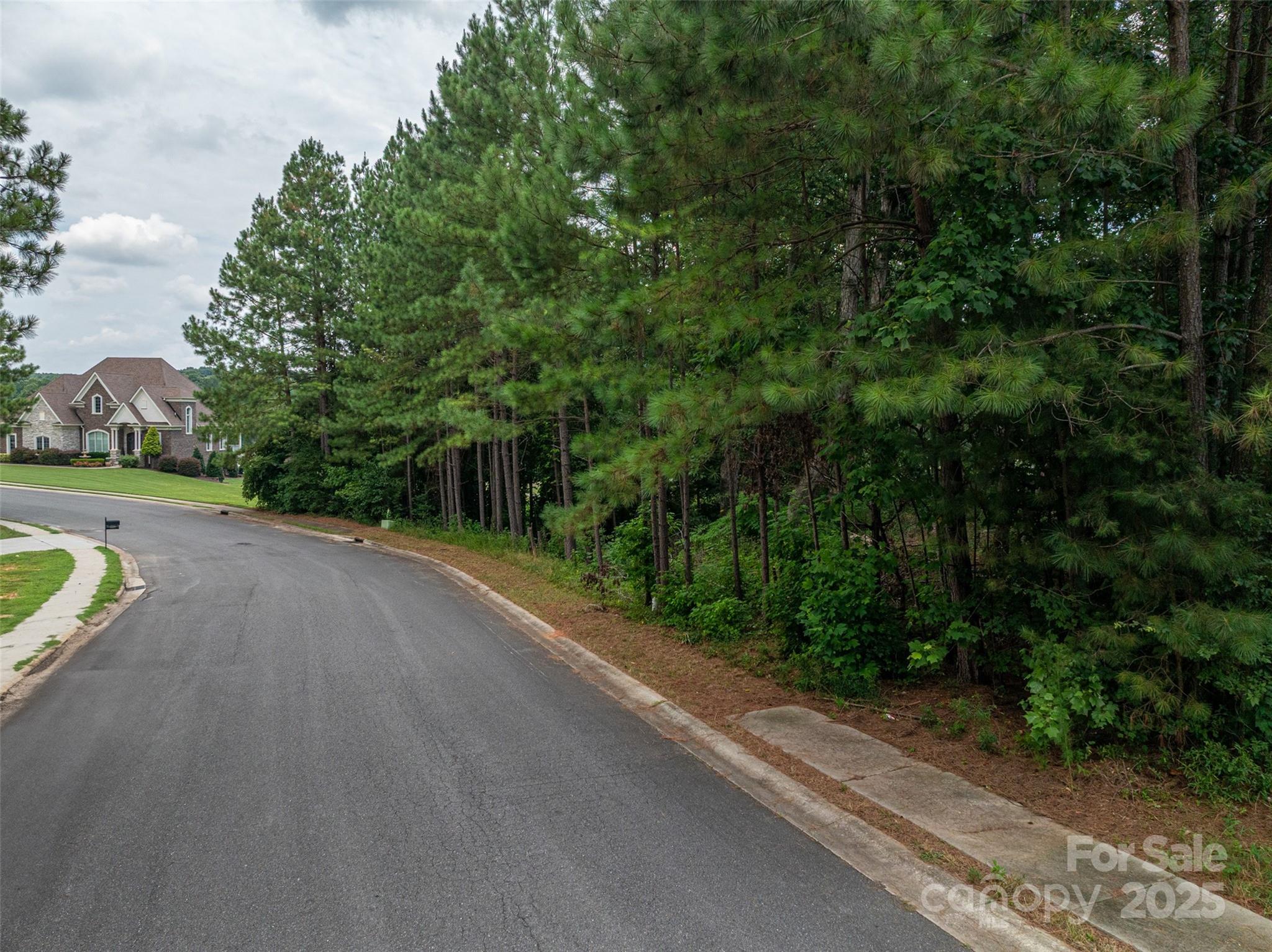 1008 Rocky Ridge Drive Cherryville, NC 28021 - Photo 11 of 22 a view of a street