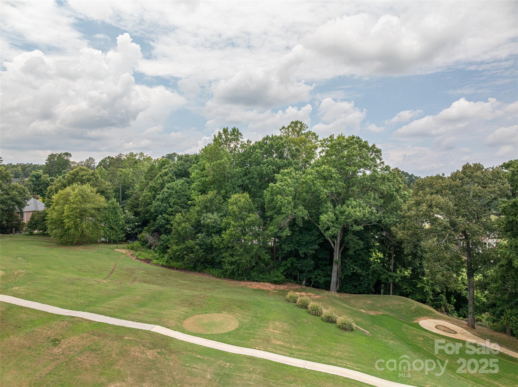 1008 Rocky Ridge Drive Cherryville, NC 28021 - Photo 14 of 22 a view of a big yard with large trees