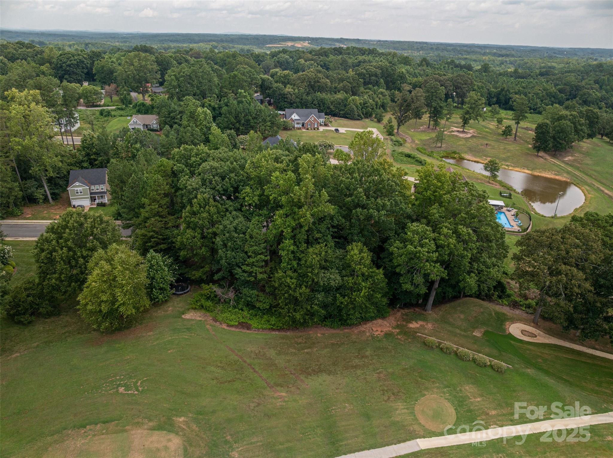 1008 Rocky Ridge Drive Cherryville, NC 28021 - Photo 3 of 22 a view of a forest with a sink