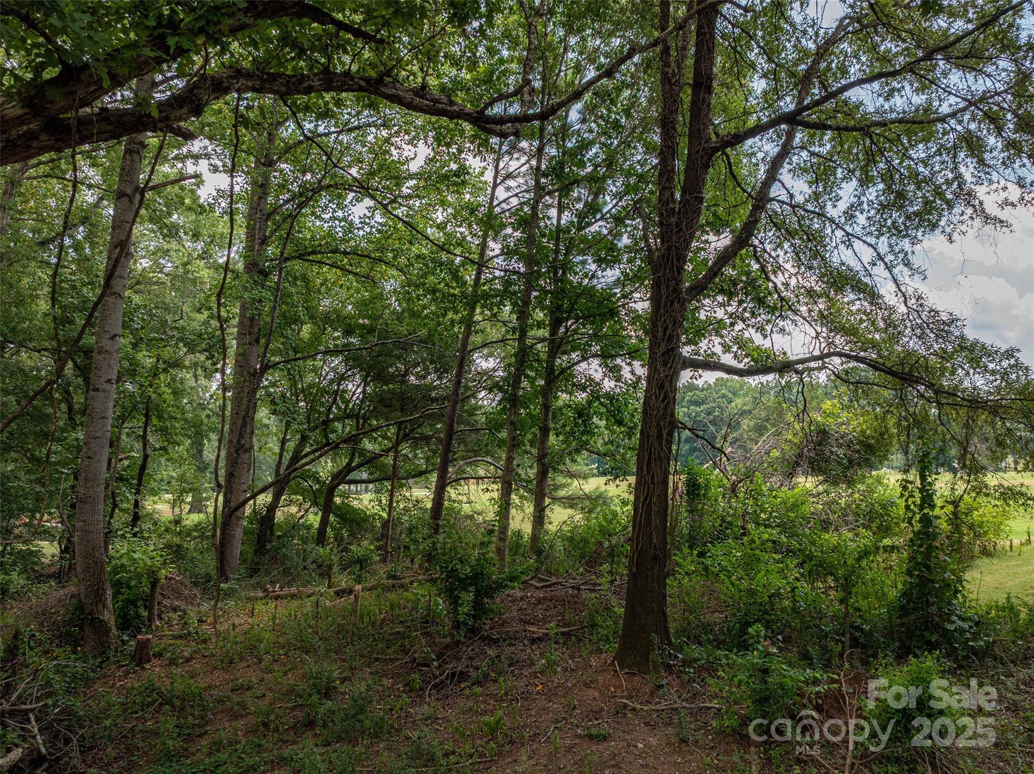 1008 Rocky Ridge Drive Cherryville, NC 28021 - Photo 5 of 22 a view of outdoor space and green space