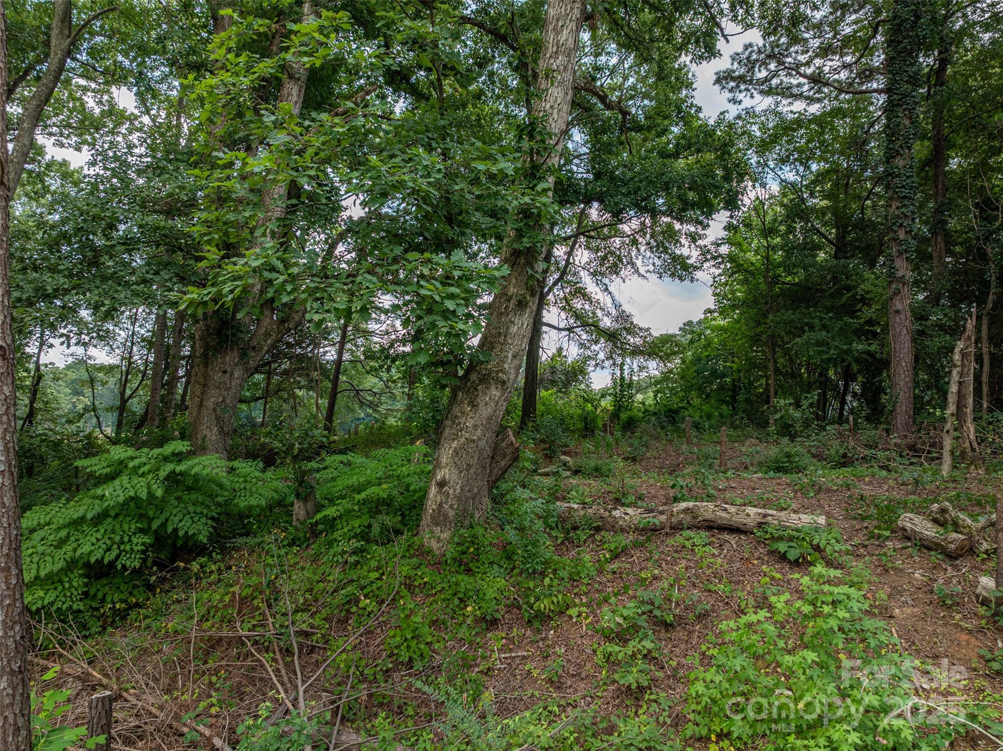1008 Rocky Ridge Drive Cherryville, NC 28021 - Photo 7 of 22 a view of a lush green forest