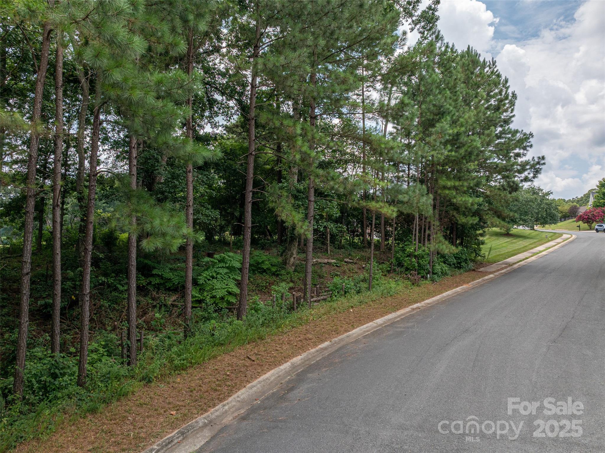 1008 Rocky Ridge Drive Cherryville, NC 28021 - Photo 8 of 22 a view of a park from a balcony