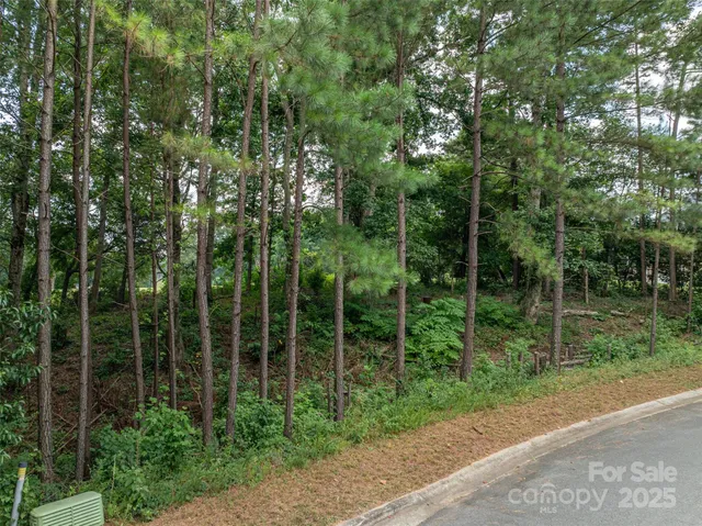 a view of a yard and a houses