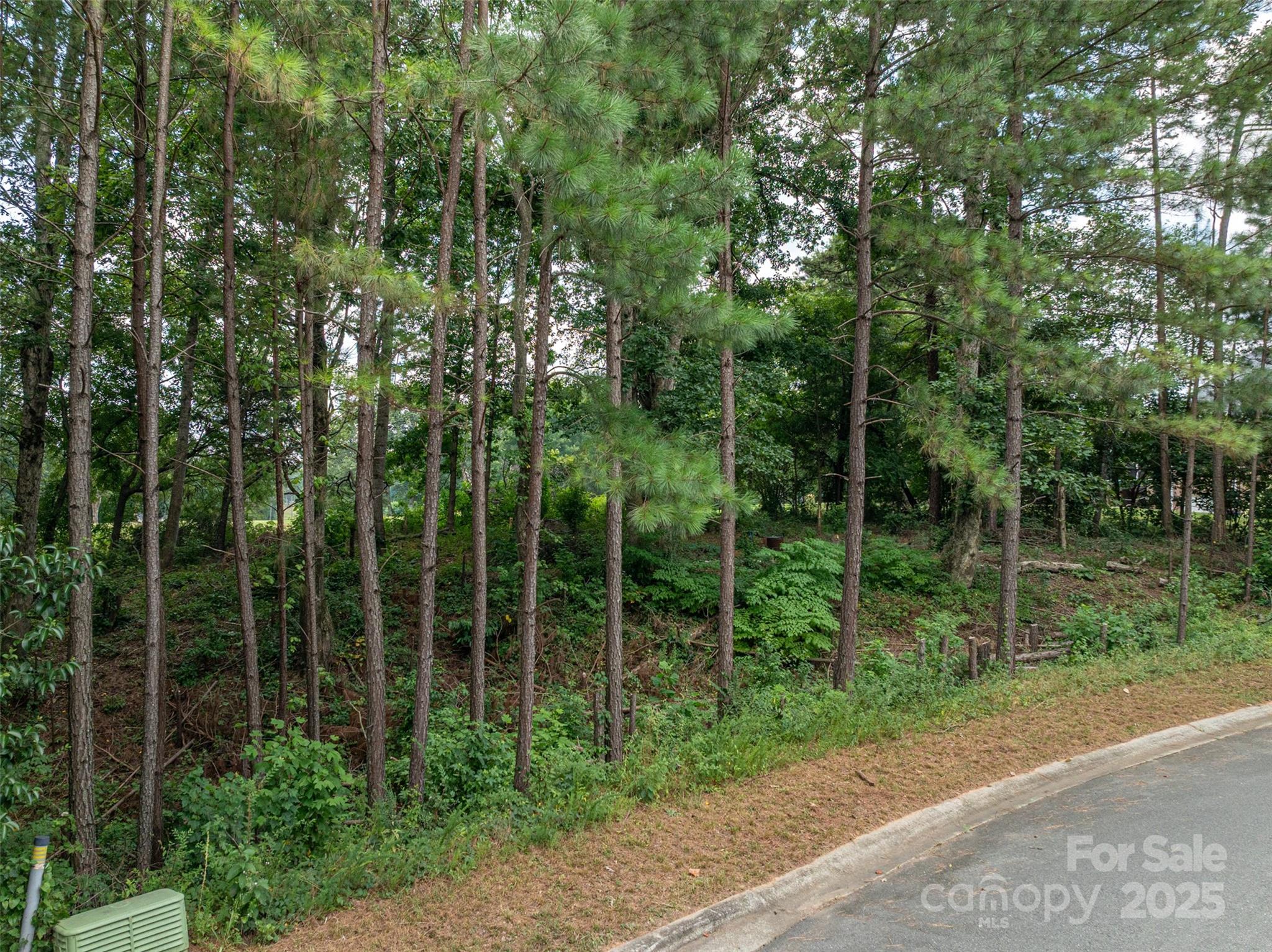 1008 Rocky Ridge Drive Cherryville, NC 28021 - Photo 9 of 22