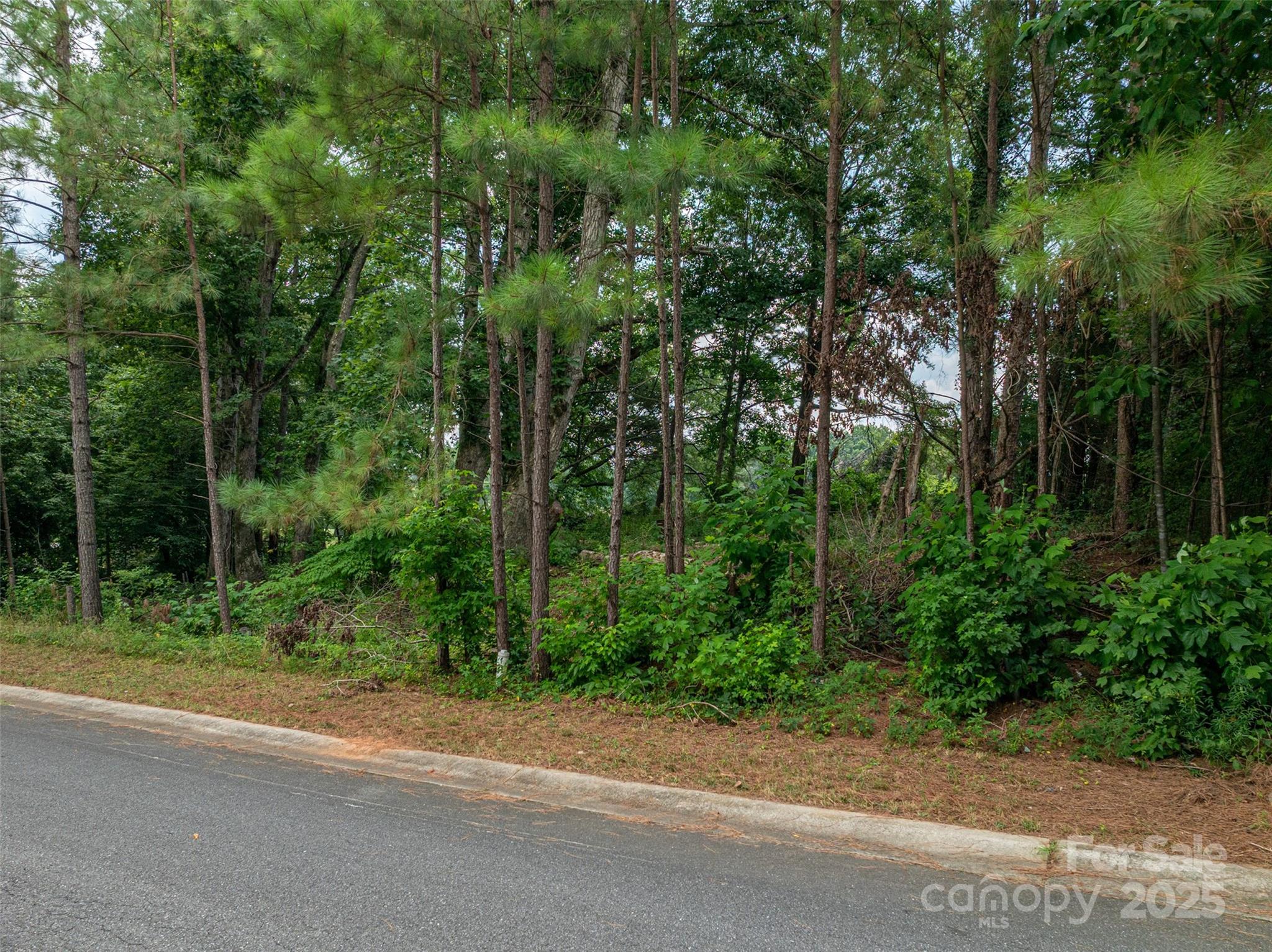 1008 Rocky Ridge Drive Cherryville, NC 28021 - Photo 10 of 22 a view of a yard and a houses