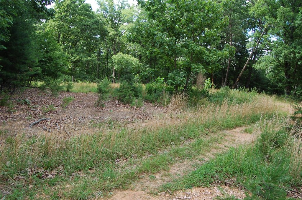 0 Carroll Creek Road Keswick, VA 22947 - Photo 4 of 6 Gallery Image 4