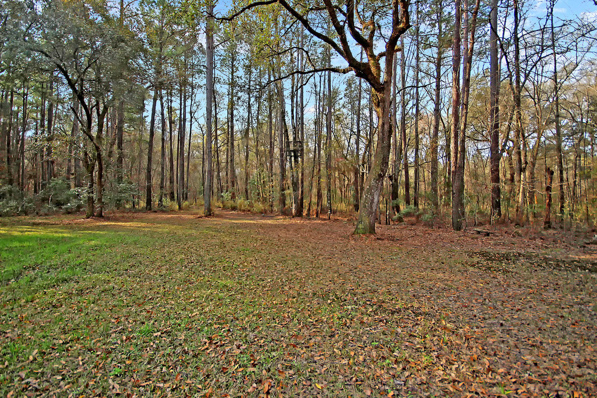 650 County Rd S-18-349 Ridgeville, SC 29472 - Photo 50 of 51 CREM_650 Haven_046