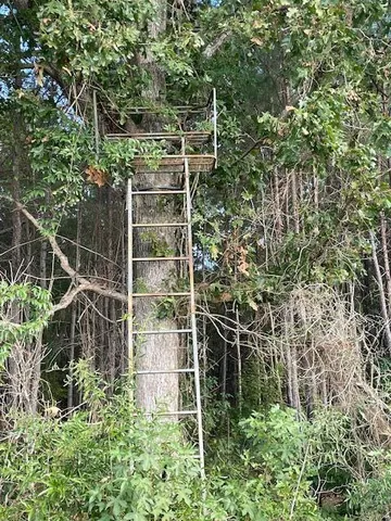 $299,700 | 4 Hwy 45 Cross Sc 29436, Cross, SC 29436