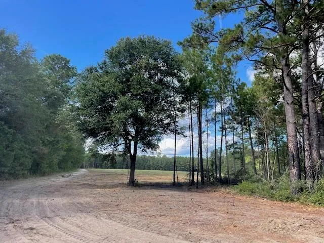 $299,700 | 4 Hwy 45 Cross Sc 29436, Cross, SC 29436