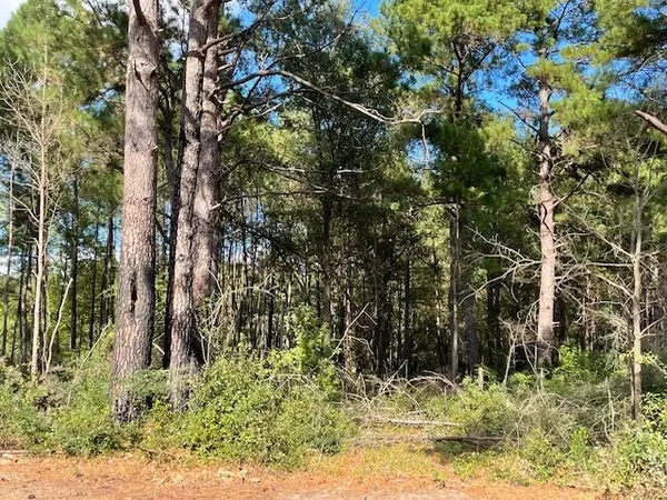$299,700 | 4 Hwy 45 Cross Sc 29436, Cross, SC 29436