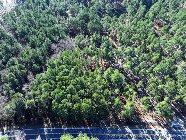 $65,000 | Stuarts Mill Road, Rowland, NC 28383