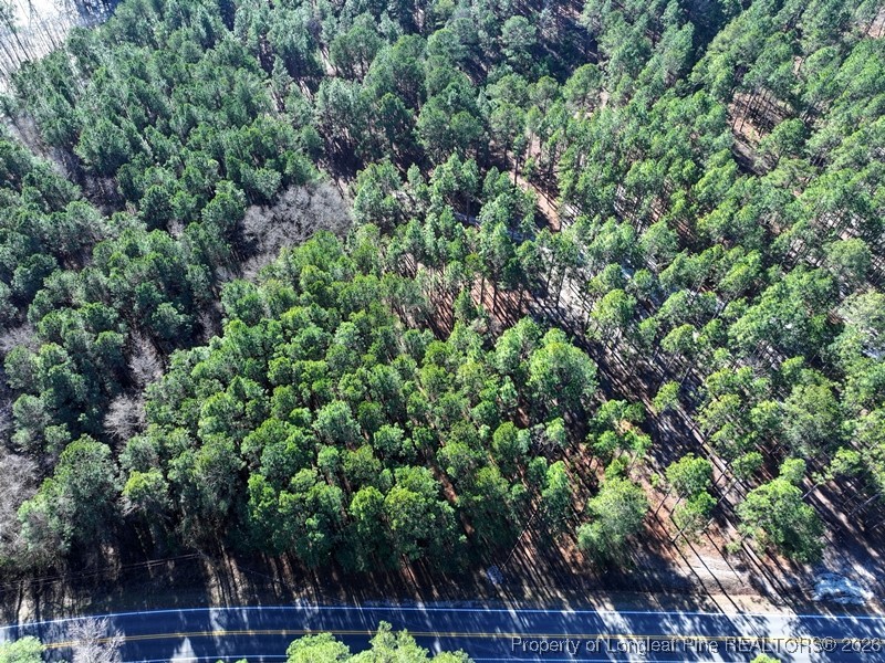 Stuarts Mill Road Rowland, NC 28383 - Photo 1 of 15