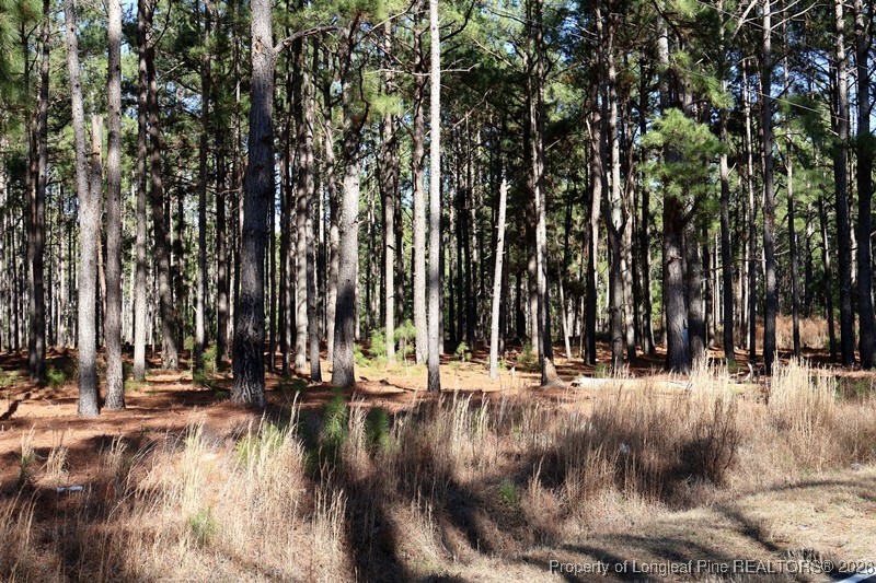 Stuarts Mill Road Rowland, NC 28383 - Photo 14 of 15