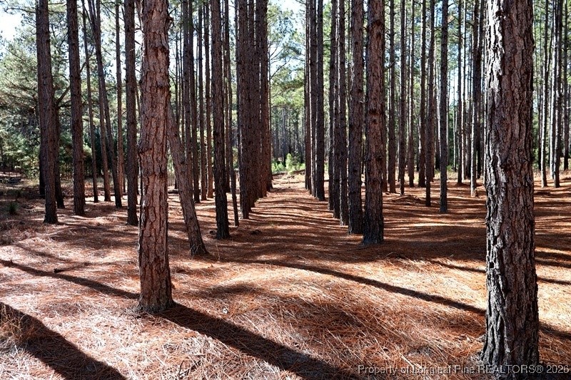 Stuarts Mill Road Rowland, NC 28383 - Photo 2 of 15