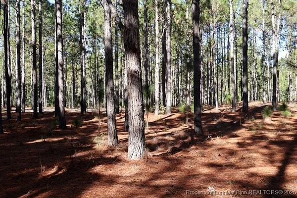 a view of outdoor space with deck